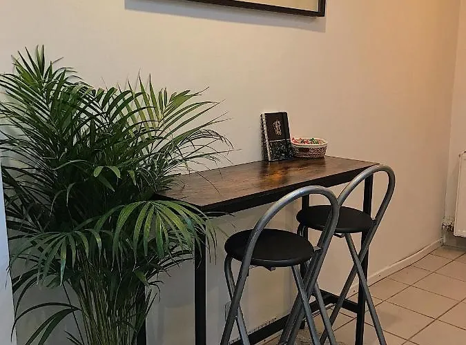 Privative Au Coeur De Maison D * Liege